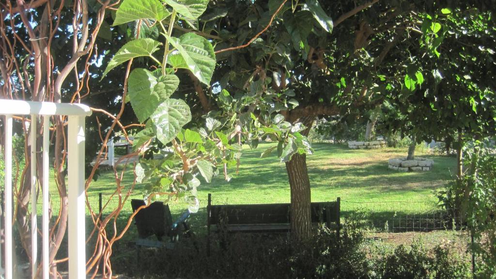 einen Park mit einer Bank unter einem Baum in der Unterkunft The House By The Mulberry Tree in Neve Ilan