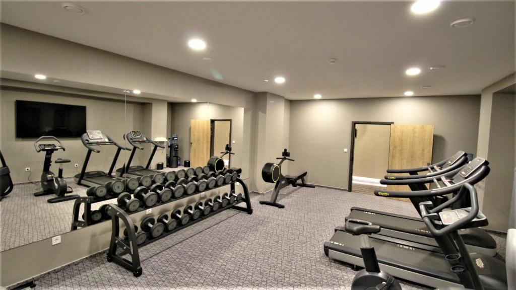 Fitness centrum a/nebo fitness zařízení v ubytování Hotel Magnus Trenčín