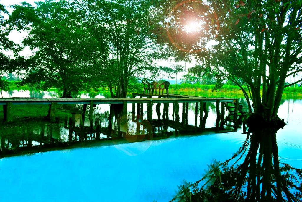 a dock with a bench and a tree and water at Canal Side Safari Resort in Udawalawe