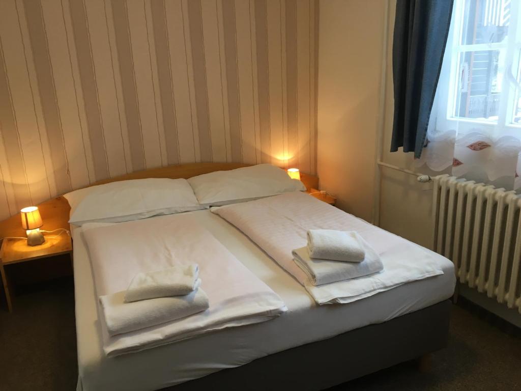 Łóżko lub łóżka w pokoju w obiekcie Hotel Tři Růže