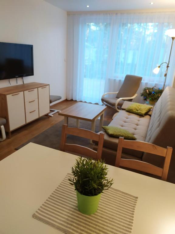 TV a/nebo společenská místnost v ubytování Borówka w Blue Mare