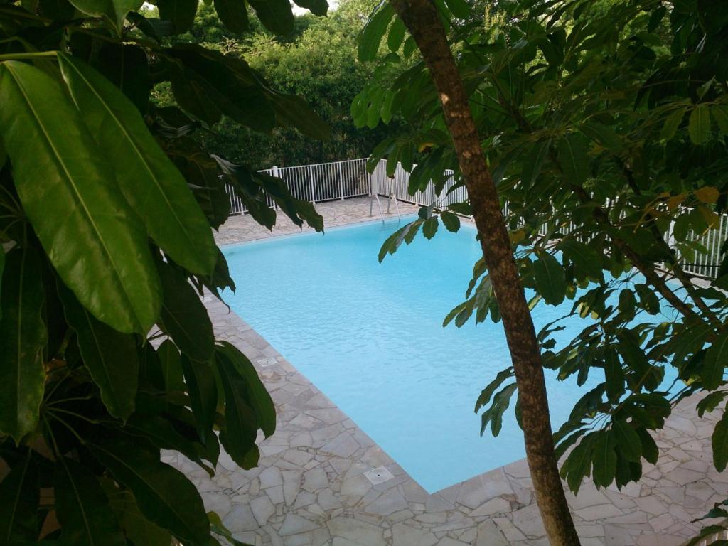 Gallery image of KAZADIDOU - Résidence Grand Cap - Vue Mer et Montagne - Piscine in Le Gosier