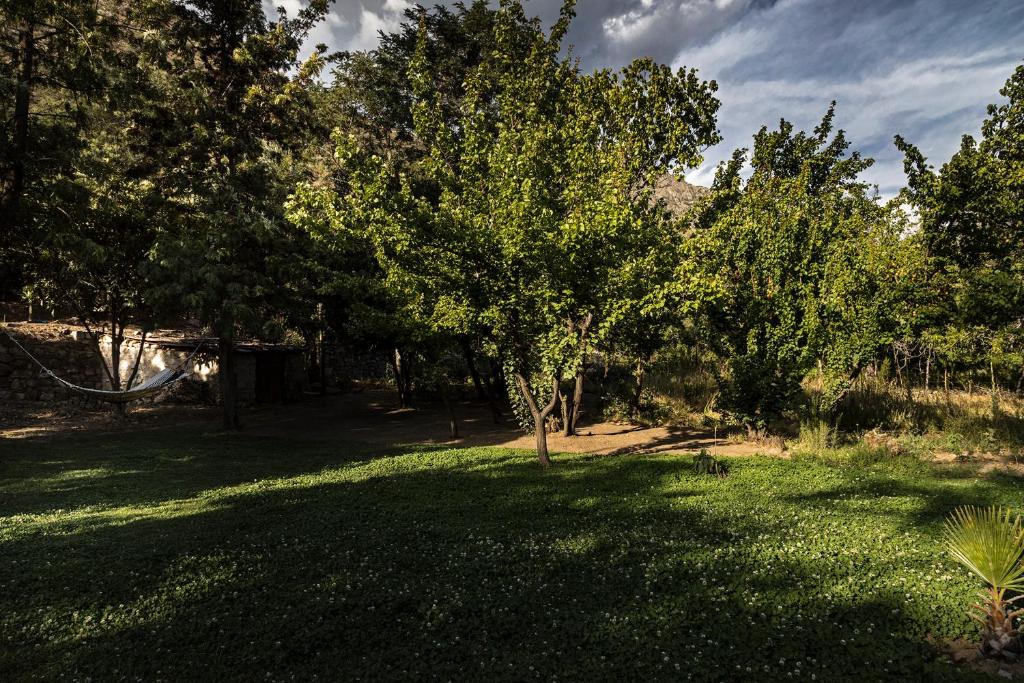a green yard with trees and grass with a sky at Casona El Resguardo - Solo Adultos in Río Blanco