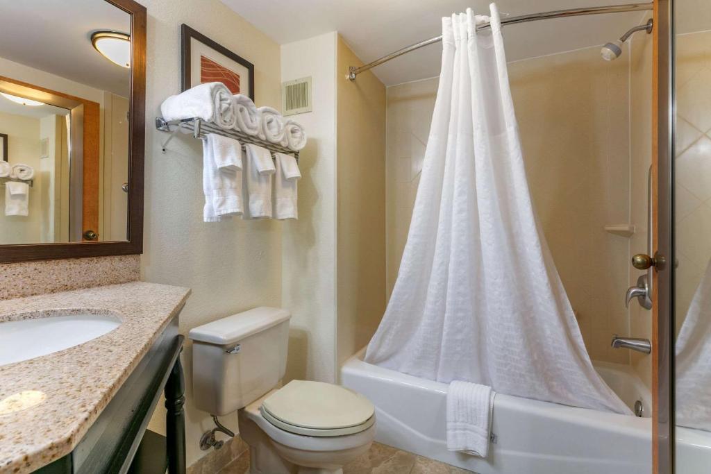 Comfort Inn Downtown - King Suite Con Sala De Estar - No Fumar