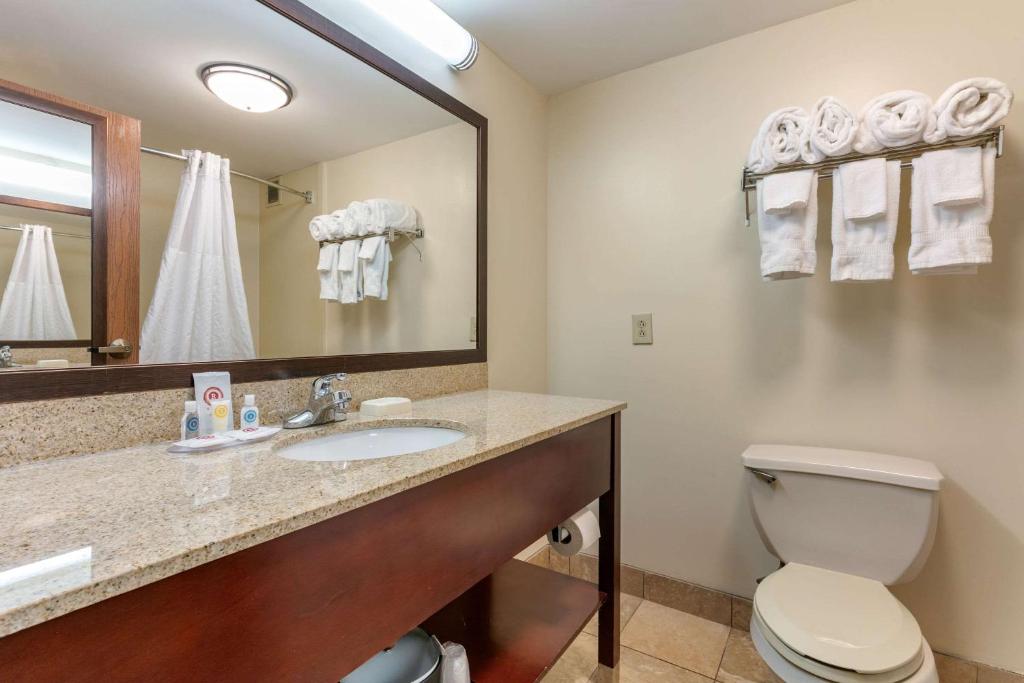 Comfort Inn Downtown - King Suite Con Sofá Cama - No Fumadores