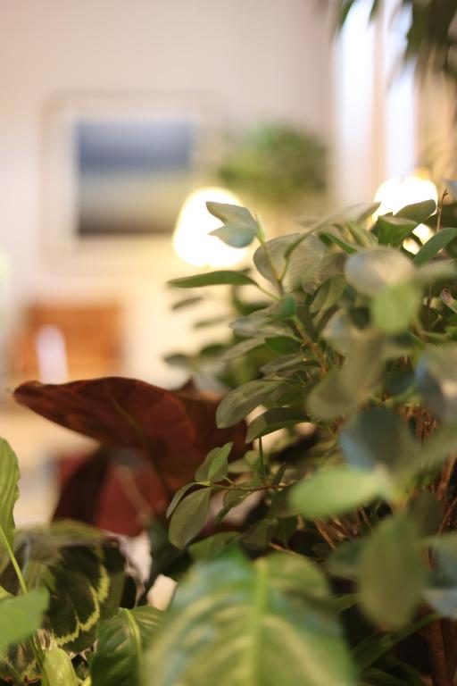 Inhabit Southwick Street, a Member of Design Hotels - Resim 39