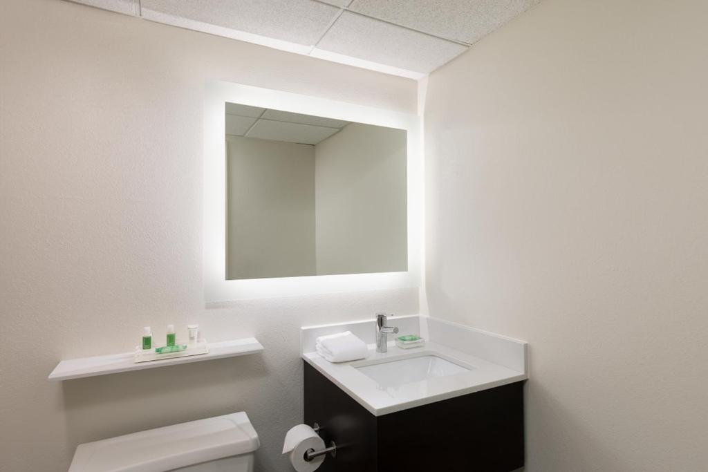 Holiday Inn Clark - Newark by IHG - Tweepersoonskamer - Toegang Van Gehandicapten