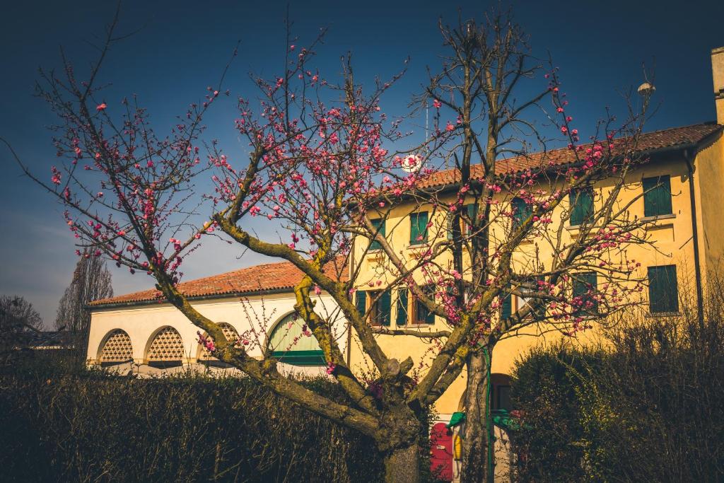 Zahrada ubytování Le Vigne Morosina