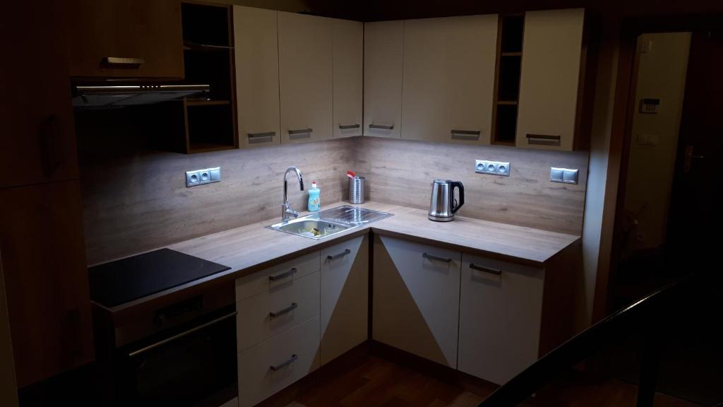 Kuchyň nebo kuchyňský kout v ubytování Apartmán Říčky 23