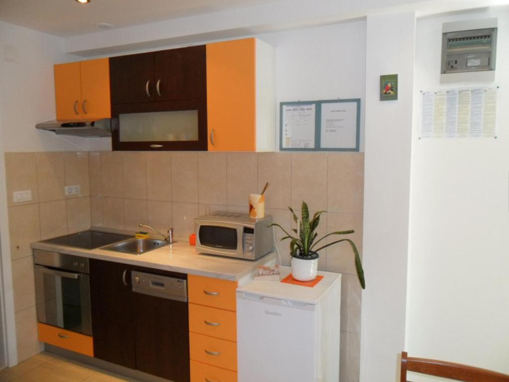 Kuchyň nebo kuchyňský kout v ubytování Apartments Villa Dube