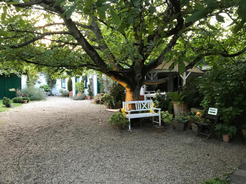 un banc blanc assis sous un arbre dans une cour dans l'établissement Ferien- und Messewohnung in Meerbusch, à Meerbusch