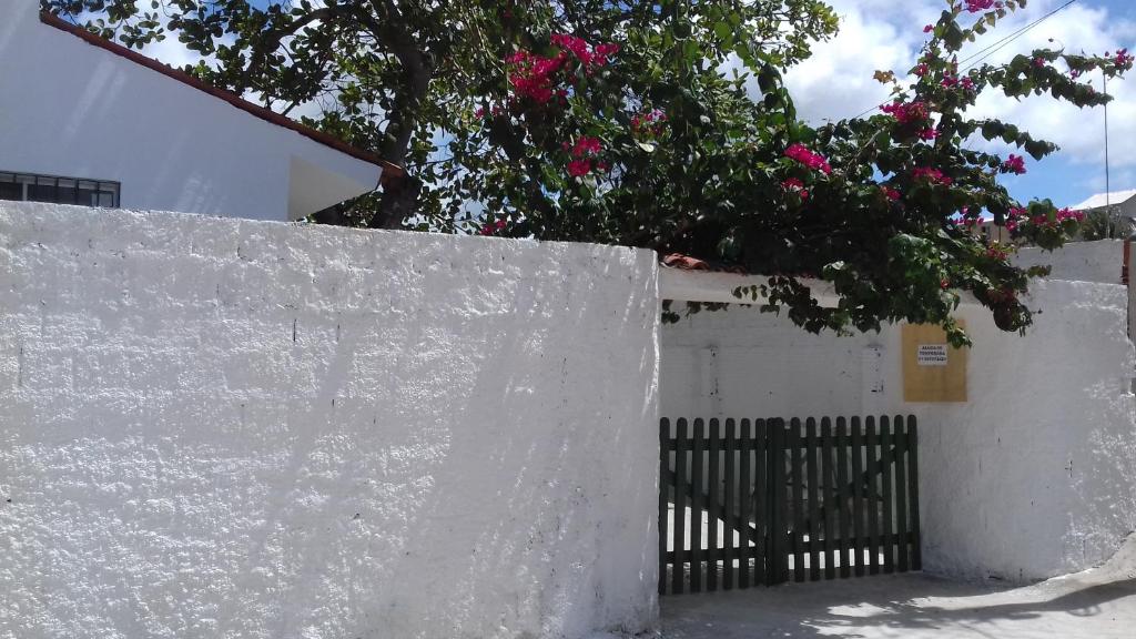  Casa da Árvore