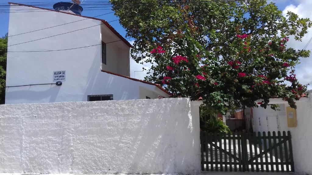  Casa da Árvore