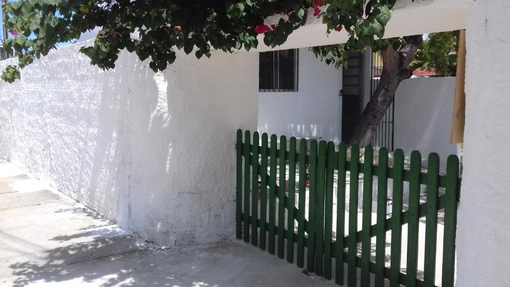  Casa da Árvore