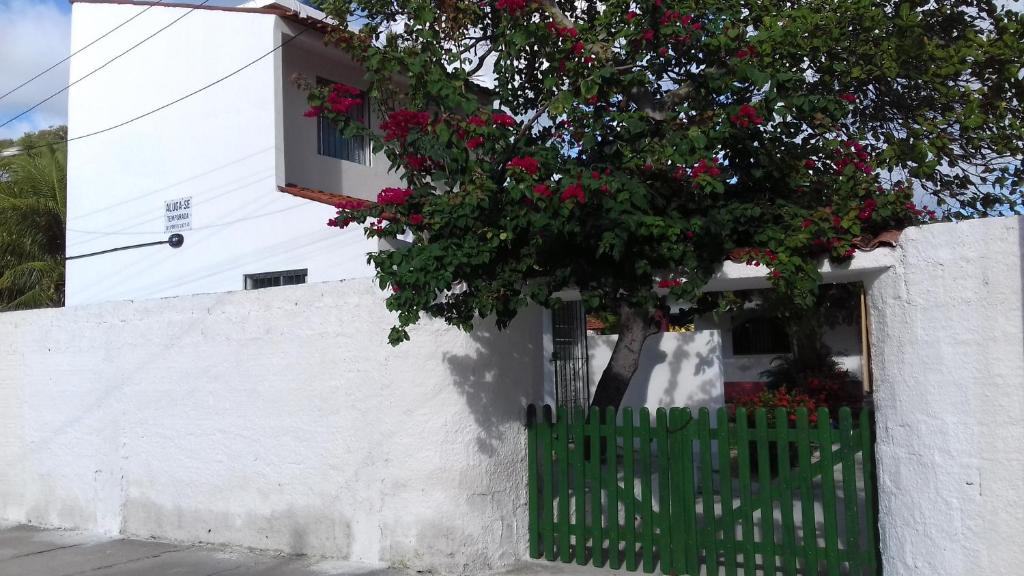  Casa da Árvore
