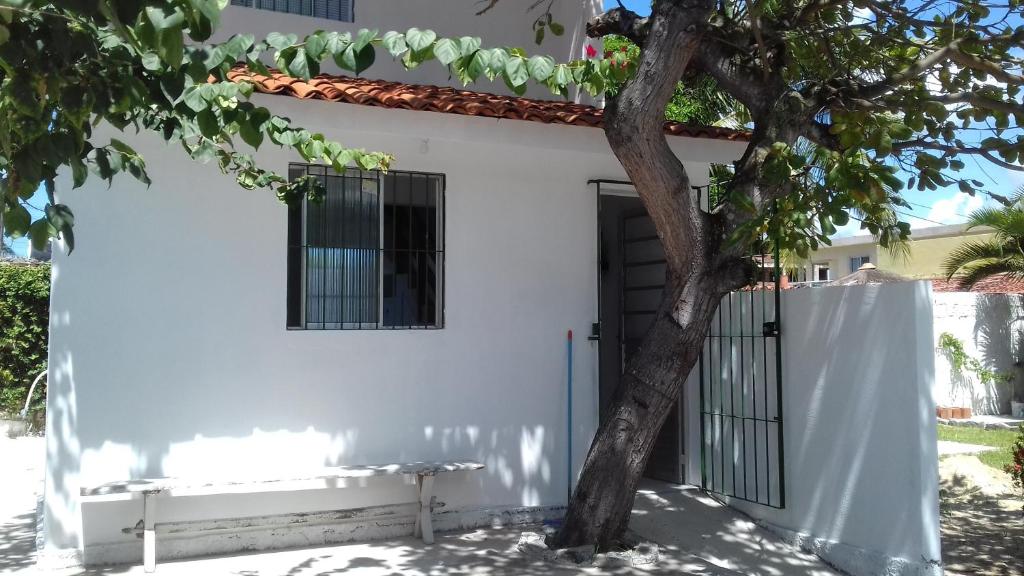  Casa da Árvore