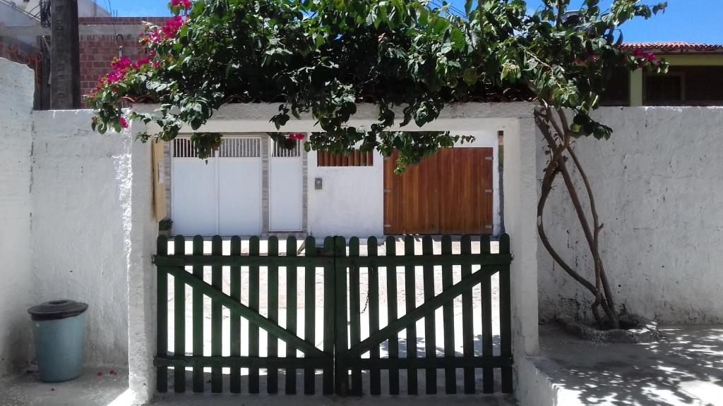  Casa da Árvore