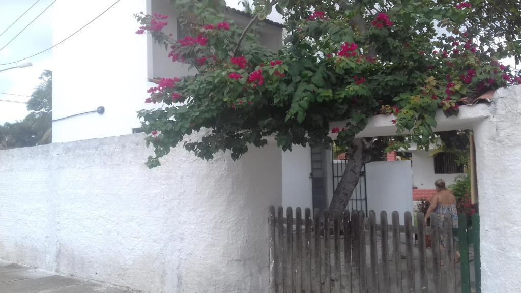  Casa da Árvore