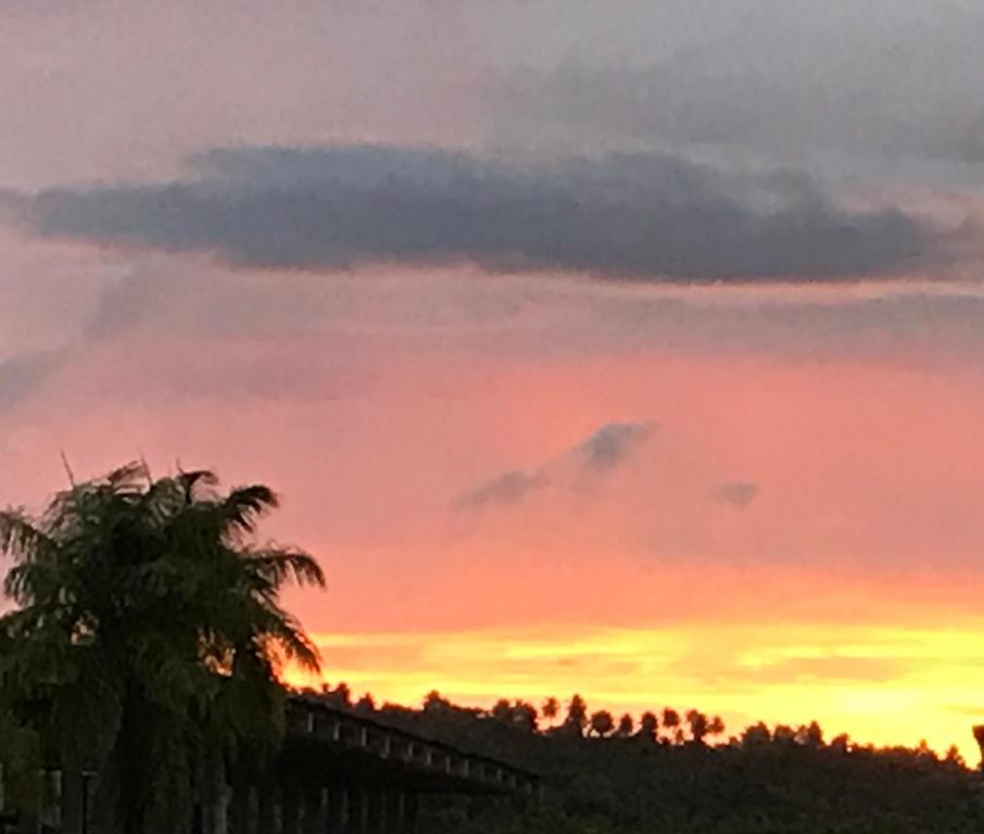 um pôr-do-sol com uma palmeira em primeiro plano em Studio Flat no Resort Gavoa - frente a Coroa do Avião em Igarassu