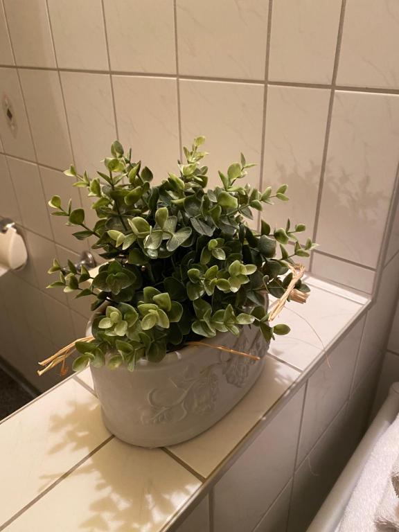 Fotografie z fotogalerie ubytování Pension Haufe v destinaci Ohorn