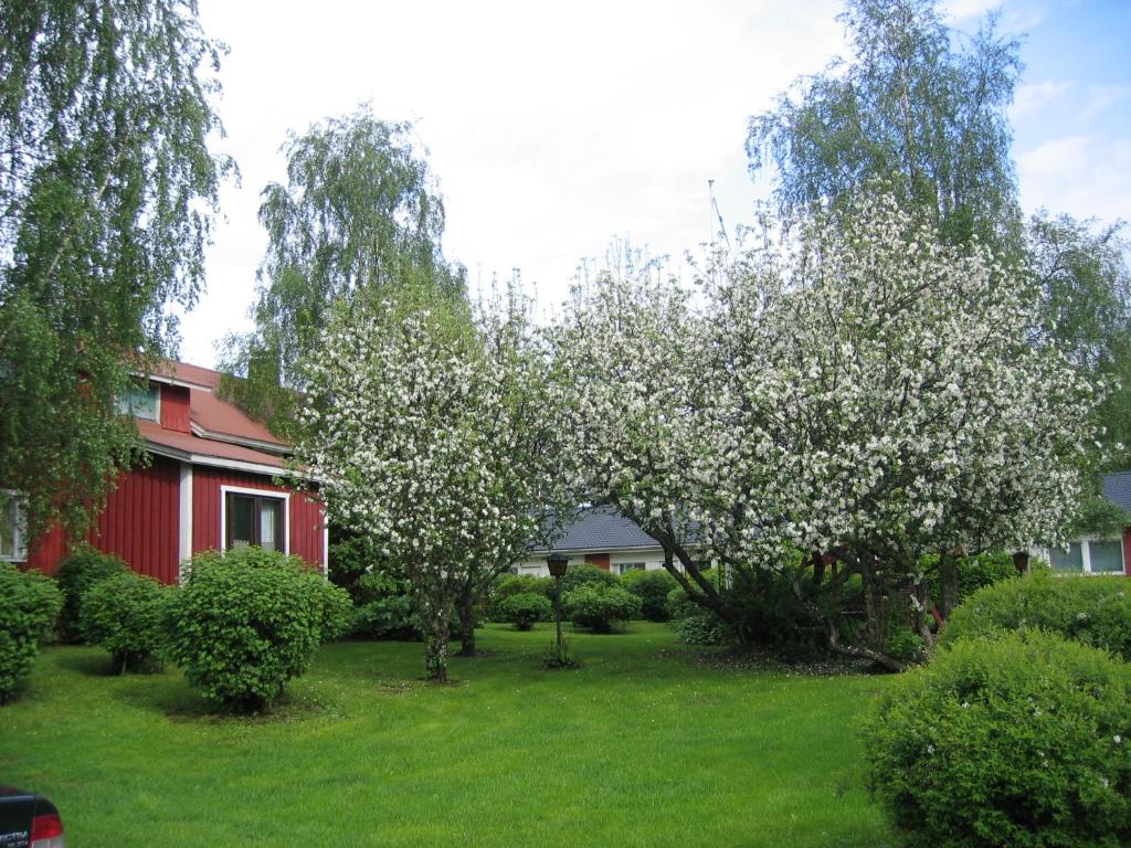 a flowering tree in a yard next to a red house at Huoneisto omenapuiden katveessa in Kankaanpää