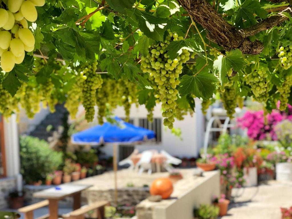 Mantos Stone Apartments - отзывы и видео