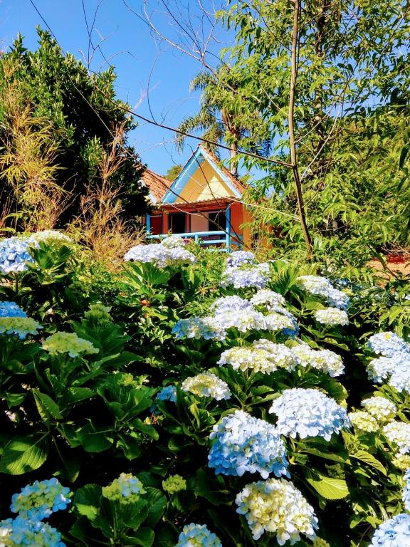  Residencial Saldanha