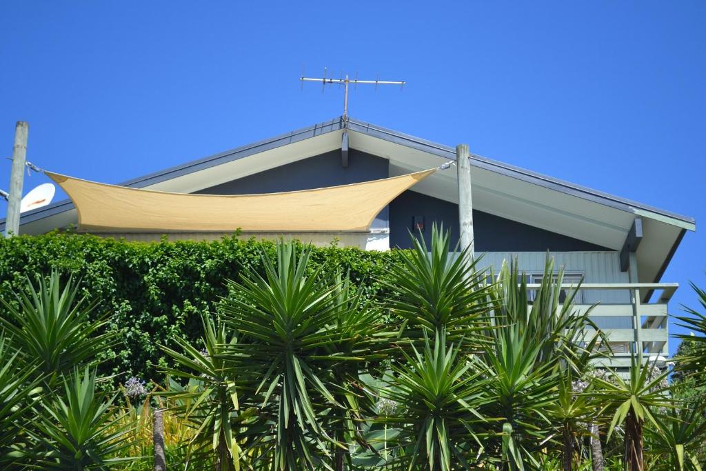 una casa con una hamaca en la parte superior de algunas plantas en AHIPARA GOLDENSANDs, en Ahipara