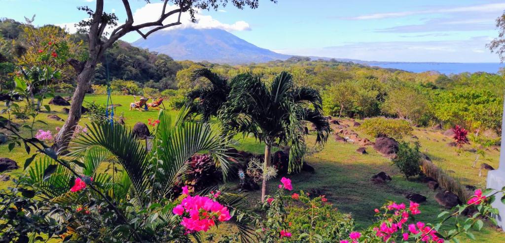 Příroda nedaleko penzionu