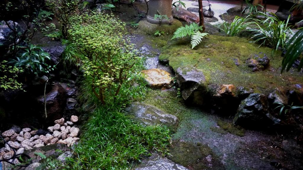 Zahrada ubytování IZUYASU Traditional Kyoto Inn serving Kyoto cuisine