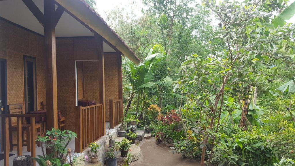a garden with plants and trees next to a house at Tetebatu Indah Homestay in Tetebatu