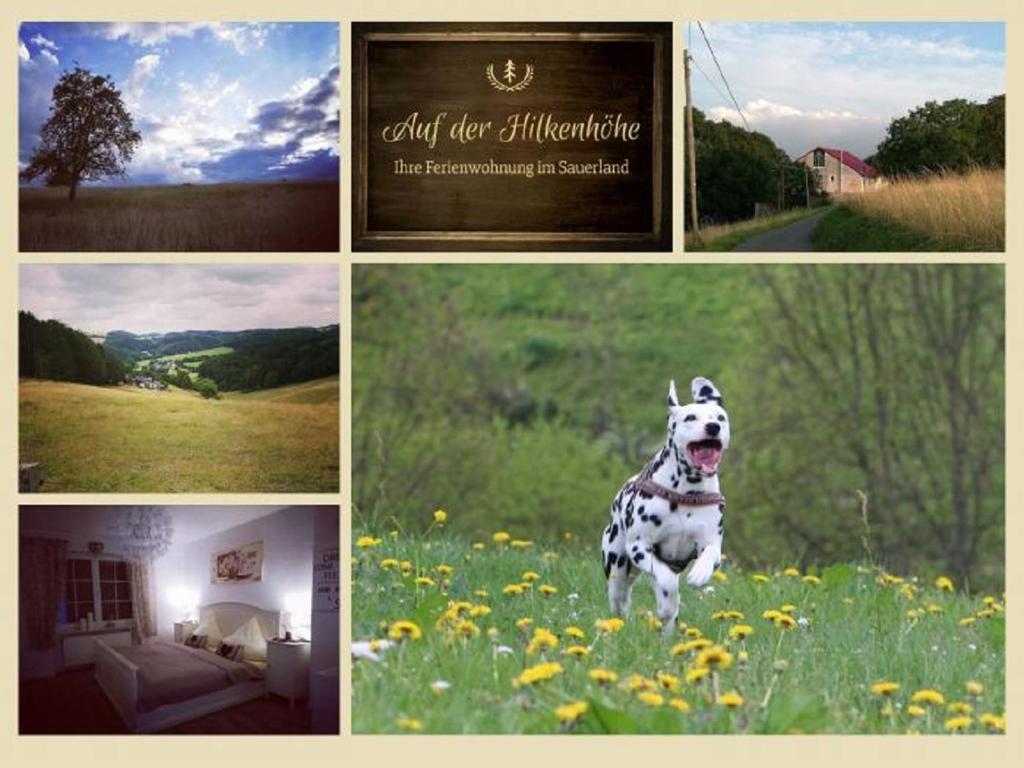 Ferienwohnung auf der Hilkenhöhe - Housity