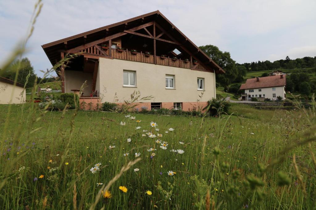 una casa en una colina con un campo de hierba en Les Chantenées, en La Bresse