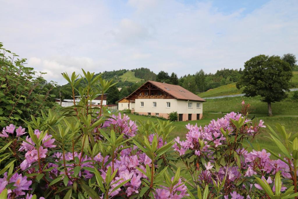 una casa en medio de un campo con flores en Les Chantenées, en La Bresse