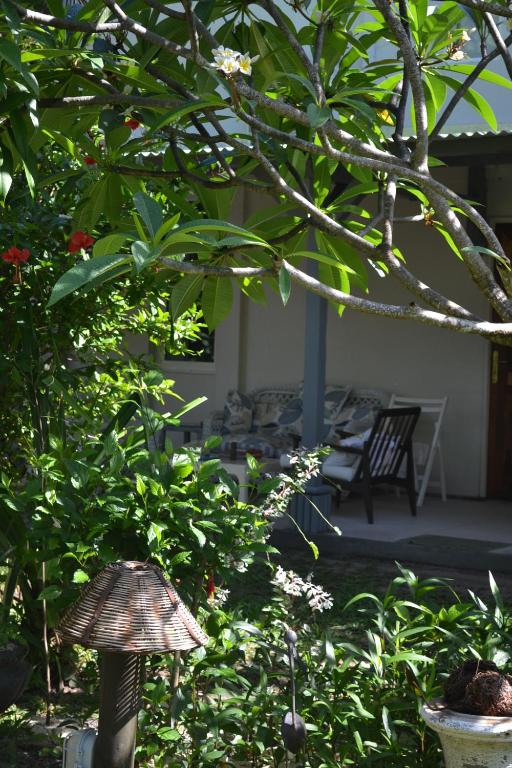 Zahrada ubytování Villa du Lagon