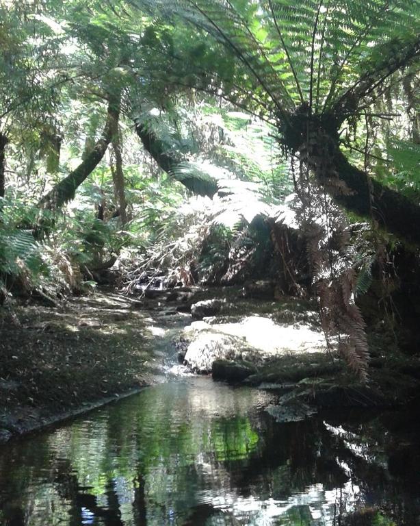  Rancho Tropeiro