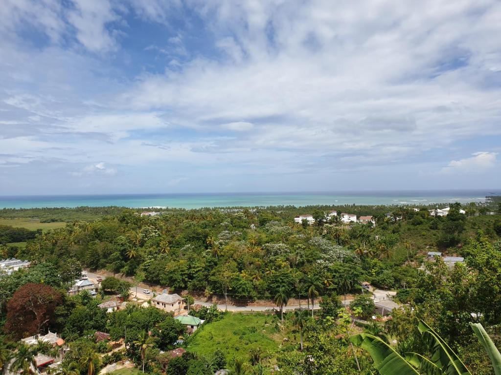 an aerial view of a town with trees and the ocean at Villa Laëti in Las Terrenas