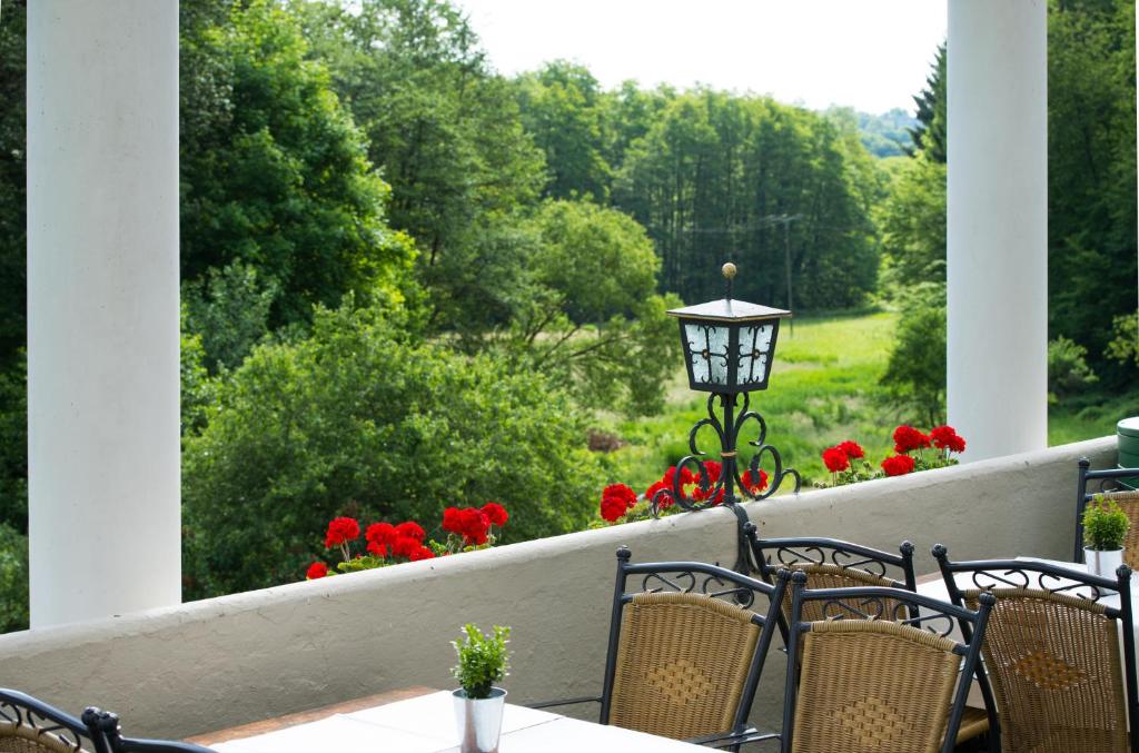 Zahrada ubytování Akzent Waldhotel Rheingau