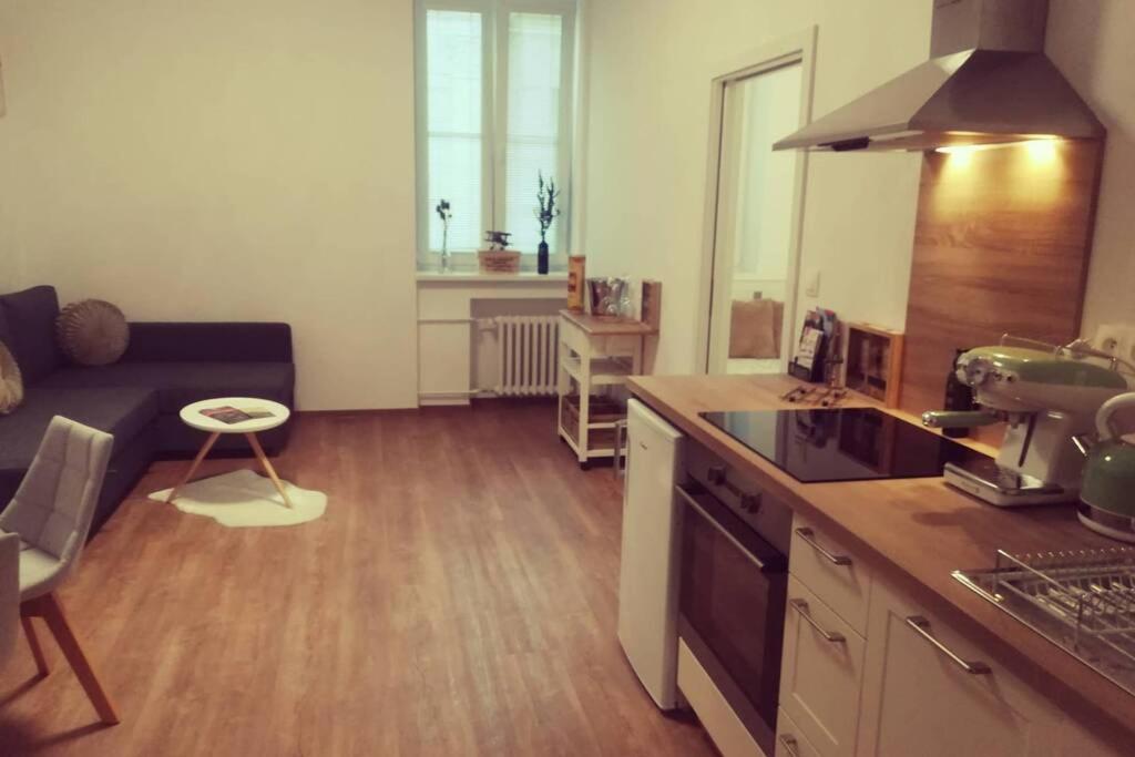 a kitchen and living room with a stove top oven at Boutique Flat in Old Town in Bratislava