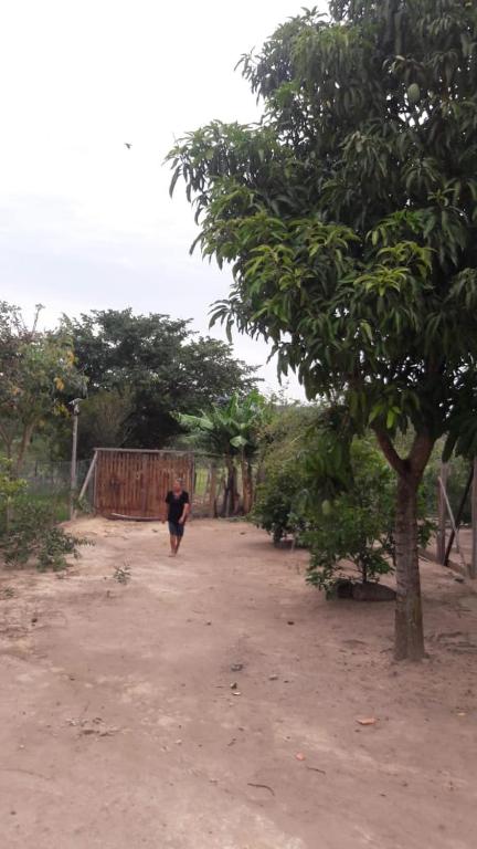  Casa de campo Lar Teixeira