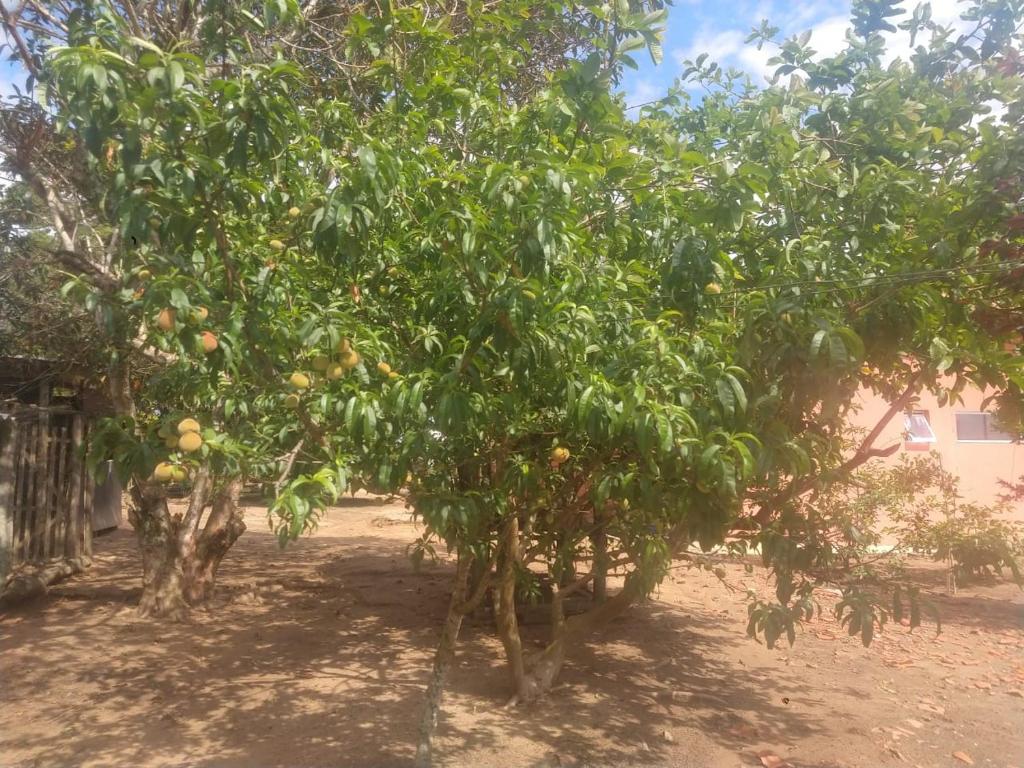  Casa de campo Lar Teixeira