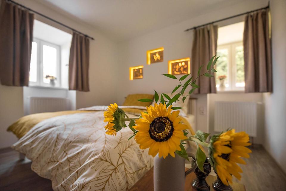 Apartmány HÁJOVNA Lipno - Apartamento Con Vista Al Lago