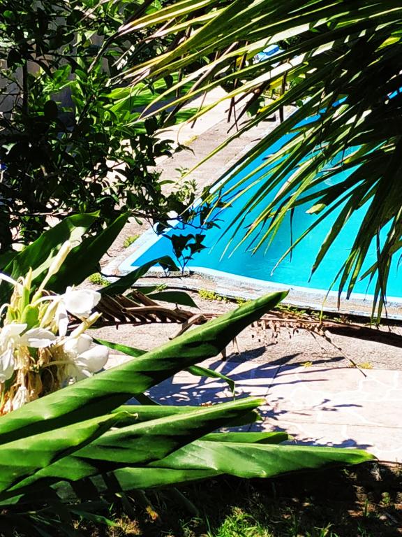  Casa de campo com piscina na praia em Mariscal-SC - um refúgio