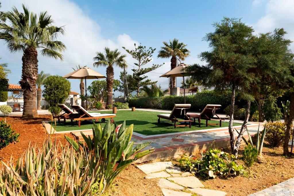 un jardin avec des chaises, des parasols et des palmiers dans l'établissement Villa Thalia, à Gouves