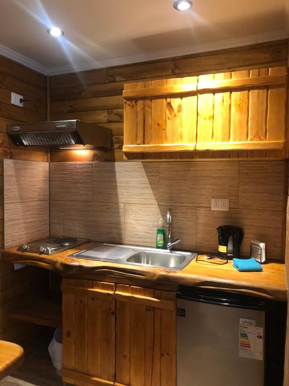 Kuchyň nebo kuchyňský kout v ubytování Refugio del Maipo Lodge