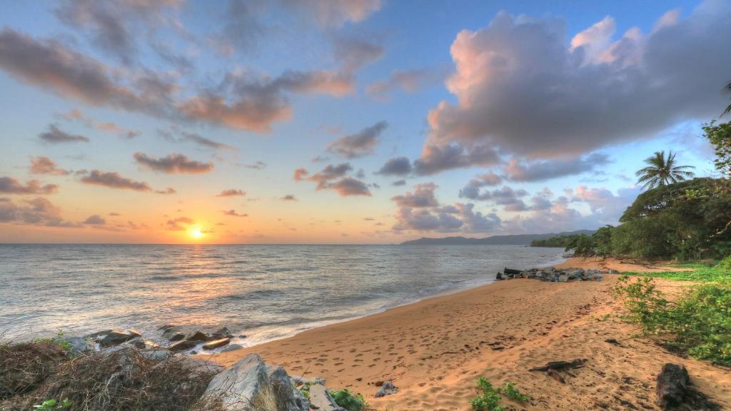 Flying Fish Point Tourist Park, Innisfail (updated prices 2025)