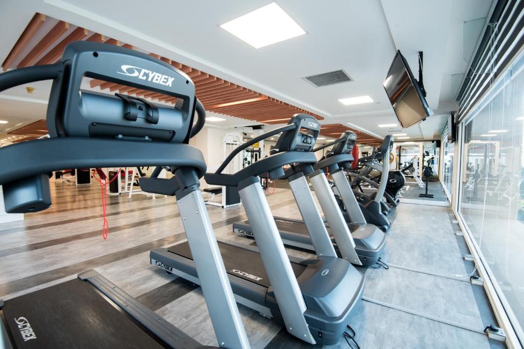 A bright fitness room lined with treadmills beside full-height windows.