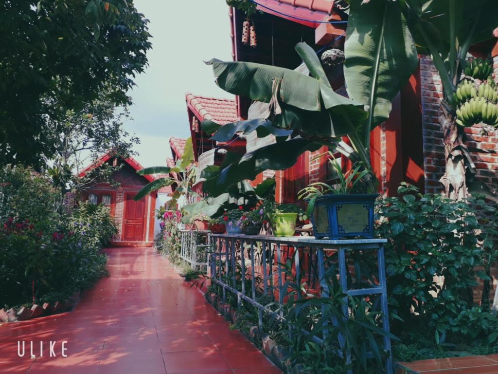 Tam Coc Rice Fields Homestay - 9