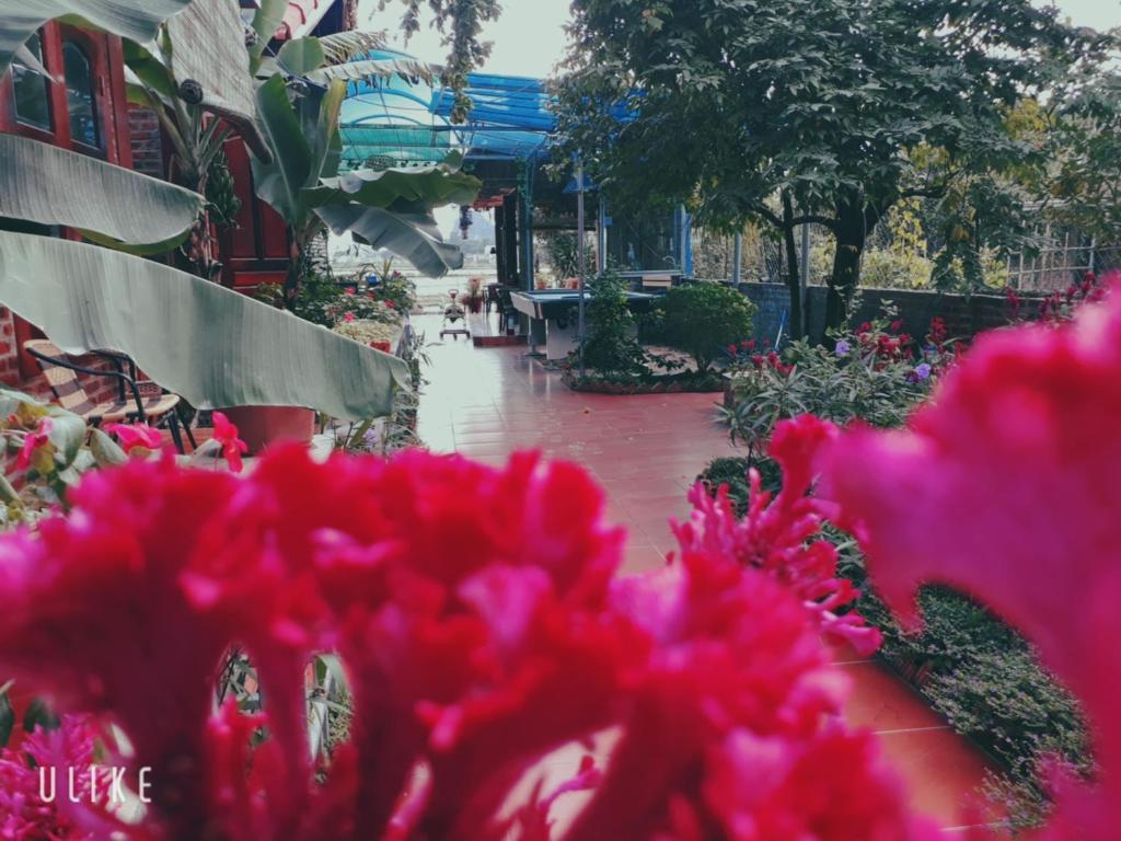 Tam Coc Rice Fields Homestay - 7