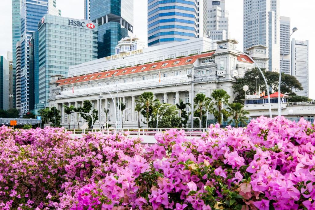 a bunch of pink flowers in front of a building at The Fullerton Hotel Singapore in Singapore